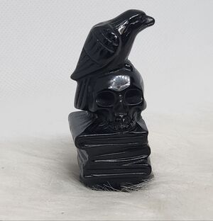 Black Obsidian Raven Skull & Books Carving – Gothic Crystal Decor Witchy Library